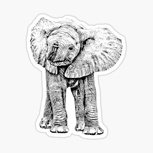 Cute Baby Elephant | African Wildlife Sticker