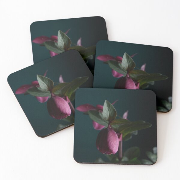 Item preview, Hellebores designed and sold by Dreamscape Eclectic .
