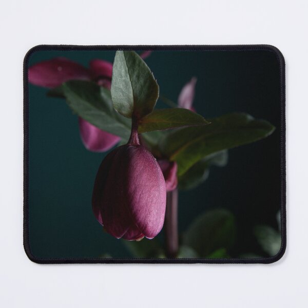 Item preview, Hellebores designed and sold by Dreamscape Eclectic .