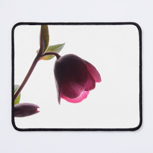 Item preview, Hellebore designed and sold by Dreamscape Eclectic .