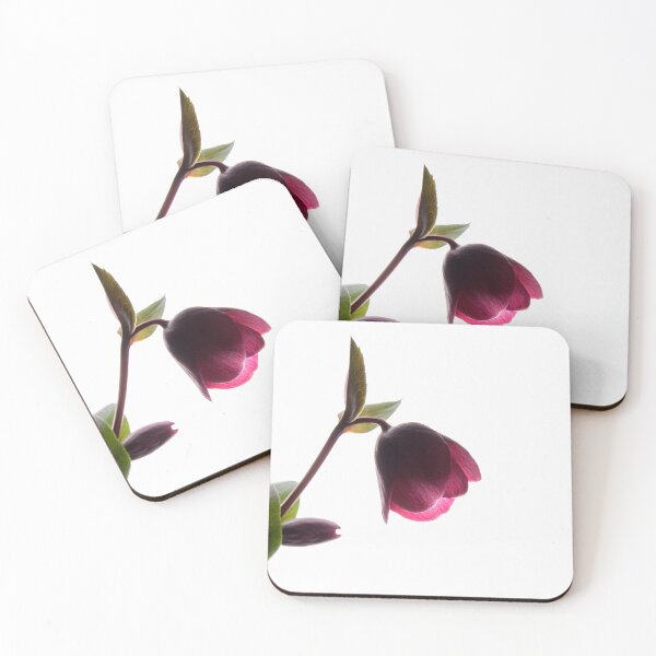 Item preview, Hellebore designed and sold by Dreamscape Eclectic .
