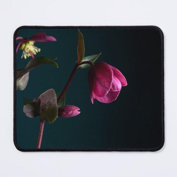Item preview, Hellebores designed and sold by Dreamscape Eclectic .