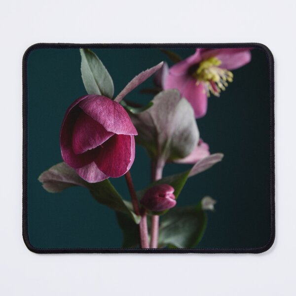 Item preview, Hellebores designed and sold by Dreamscape Eclectic .