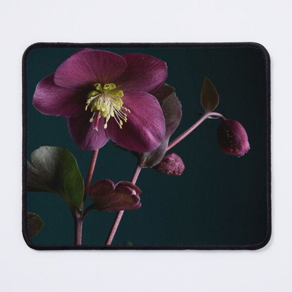 Item preview, Hellebores designed and sold by Dreamscape Eclectic .