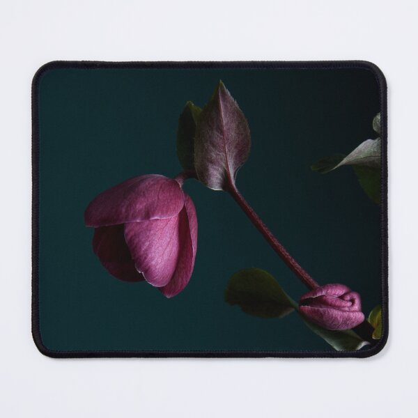 Item preview, Hellebores designed and sold by Dreamscape Eclectic .