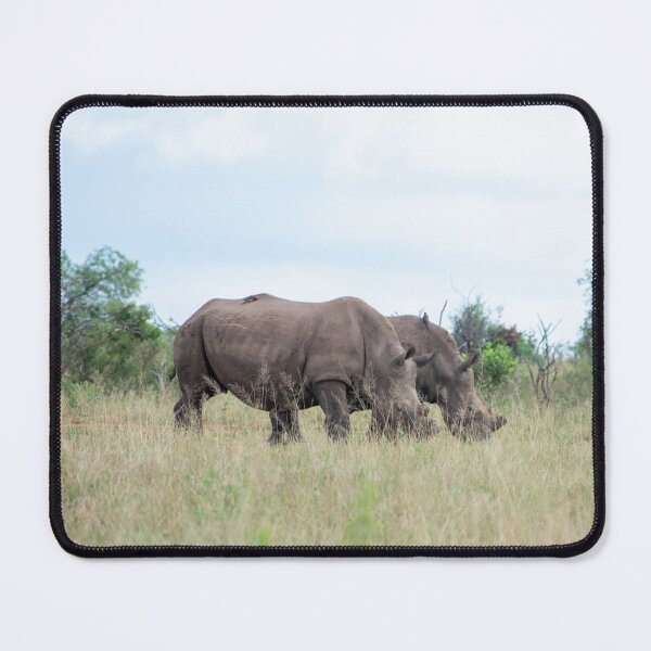 Item preview, Two Rhinos Grazing in the Kruger National Park, South Africa designed and sold by Marlienart.