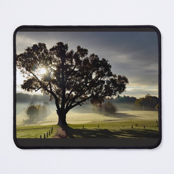 Item preview, Turkey Oak in Winter designed and sold by JohnGaffen.