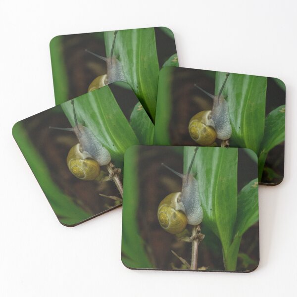 Item preview, Snail in the garden designed and sold by TriciaPhotos.