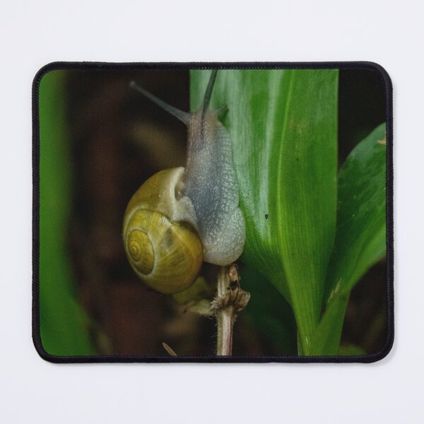 Item preview, Snail in the garden designed and sold by TriciaPhotos.