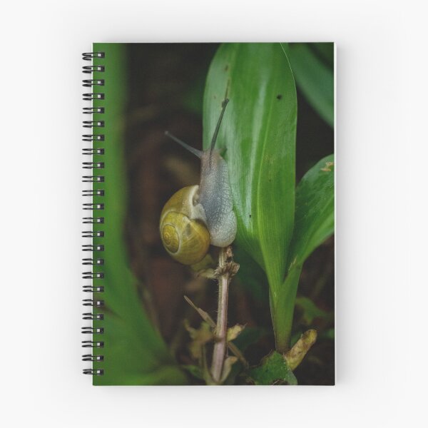 Item preview, Snail in the garden designed and sold by TriciaPhotos.