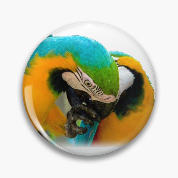 Item preview, Macaws designed and sold by indiafrankk.