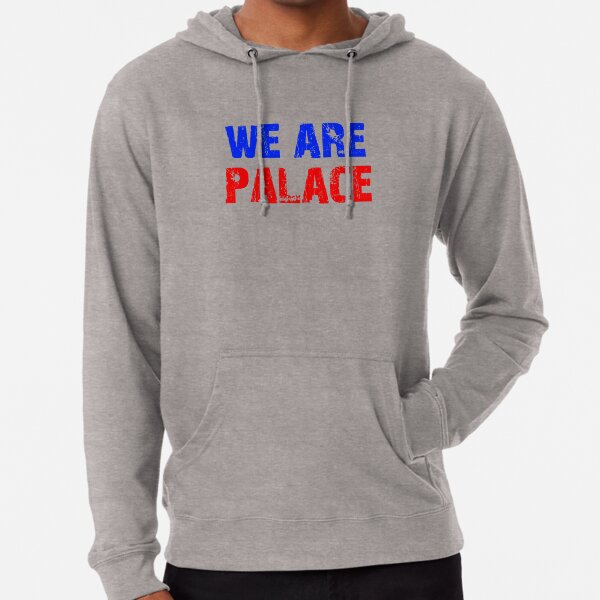 Palace palazer hoodie store