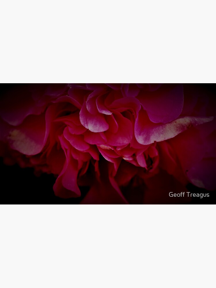 "Pink Petals" Sticker for Sale by GTreagus Redbubble