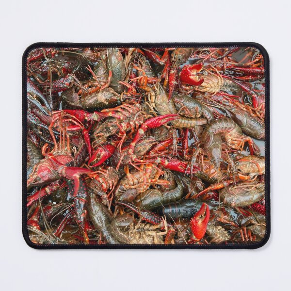 Item preview, Fresh live Louisiana crawfish	 designed and sold by JuliVogel.