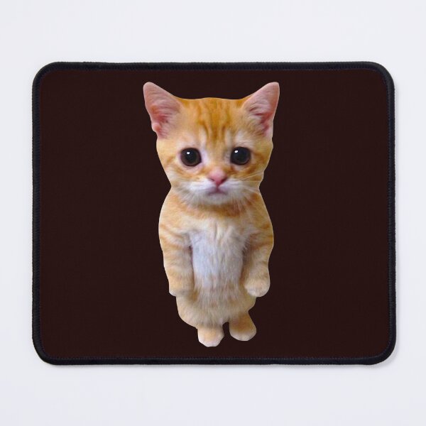 Item preview, El Gato Meme Sad Crying Cat Munchkin Kitty Meme Trendy designed and sold by lhkmmo44.