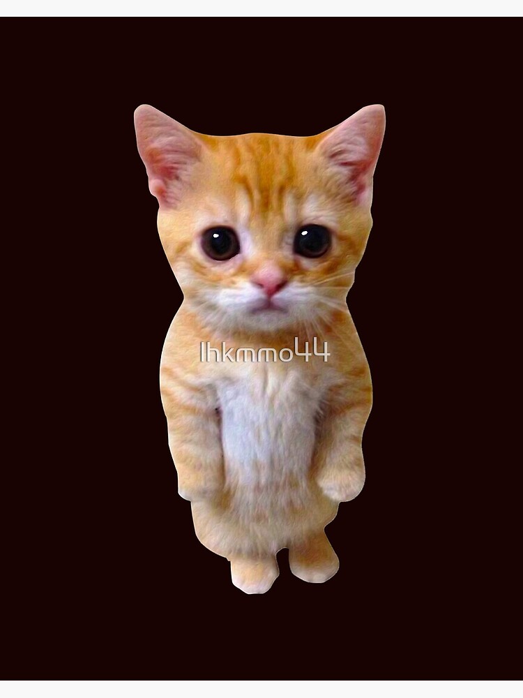 El Gato Is Calling Meme Sad Crying Cat Munchkin Kitty Meme Print T