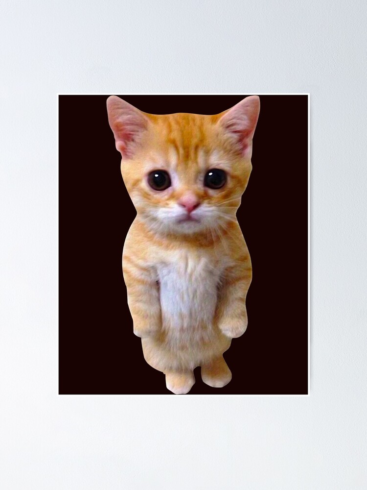 El Gato Meme Sad Crying Cat Munchkin Kitty Meme Trendy  Poster