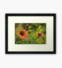 Bunte Kegelblumen Gerahmtes Wandbild