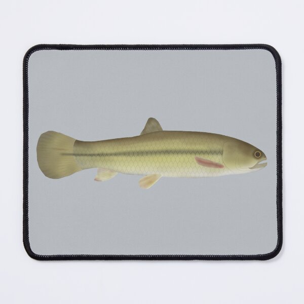 Item preview, Aimara designed and sold by fishfolkart.