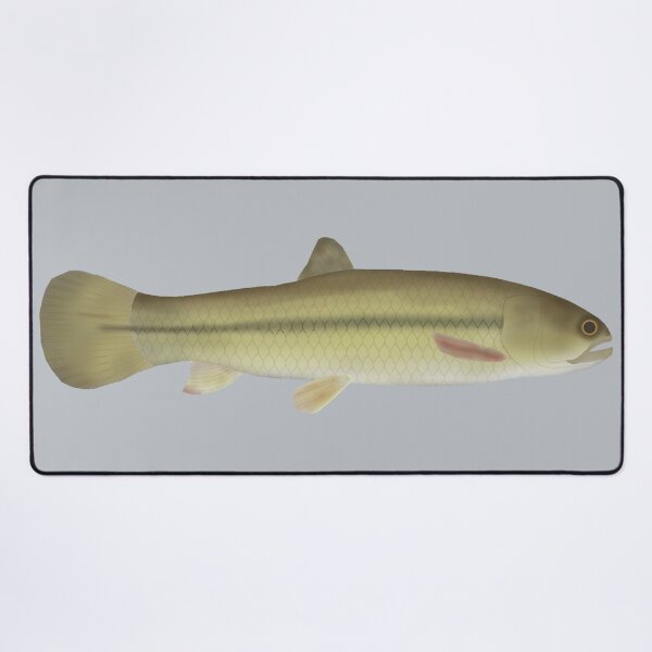 Item preview, Aimara designed and sold by fishfolkart.