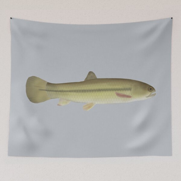 Item preview, Aimara designed and sold by fishfolkart.