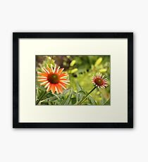 Bunte Kegelblumen 2 Gerahmtes Wandbild