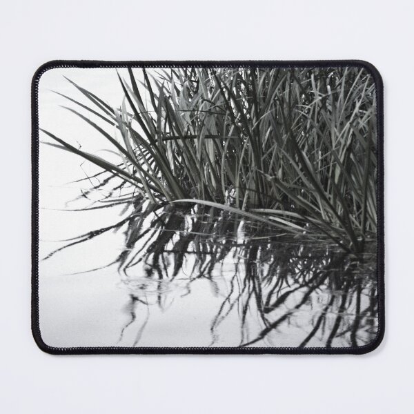 Item preview, Relaxing on the lake shore FineArt designed and sold by frankuffmann.