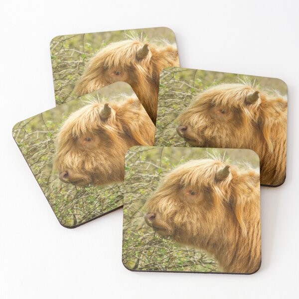 Item preview, Young Highland Cow designed and sold by rawshutterbug.