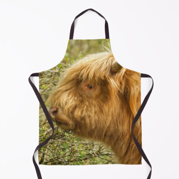 Item preview, Young Highland Cow designed and sold by rawshutterbug.