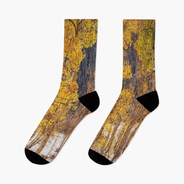 Artikelvorschau, Herbstbäume im Schnee Aspen Colorado von OLena Art entworfen und verkauft von Lena Owens at OLena Art..