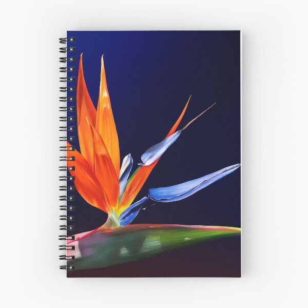 Item preview, Birds of Paradise designed and sold by DonnaKBrowning.