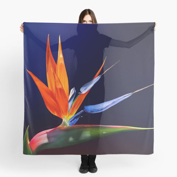 Aperçu de l'œuvre Oiseaux du paradis créée et vendue par DonnaKBrowning.