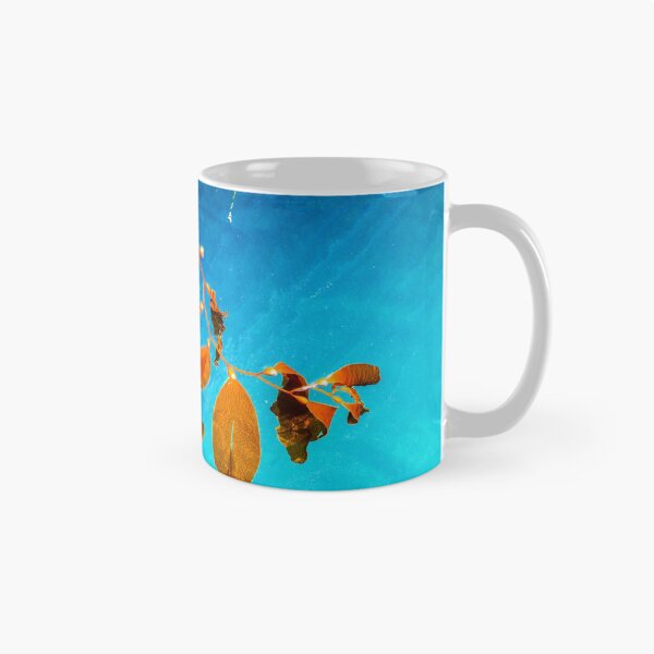 Item preview, Kelp designed and sold by Selena Rivera.