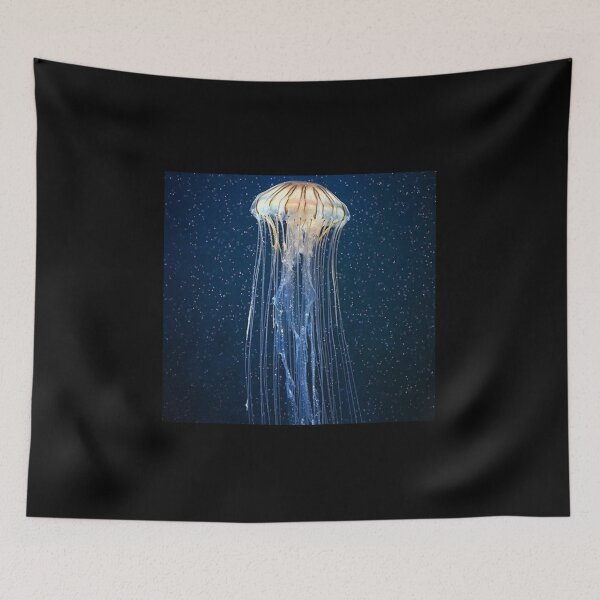 Item preview, Jelly fish designed and sold by Nicoladenisa71.
