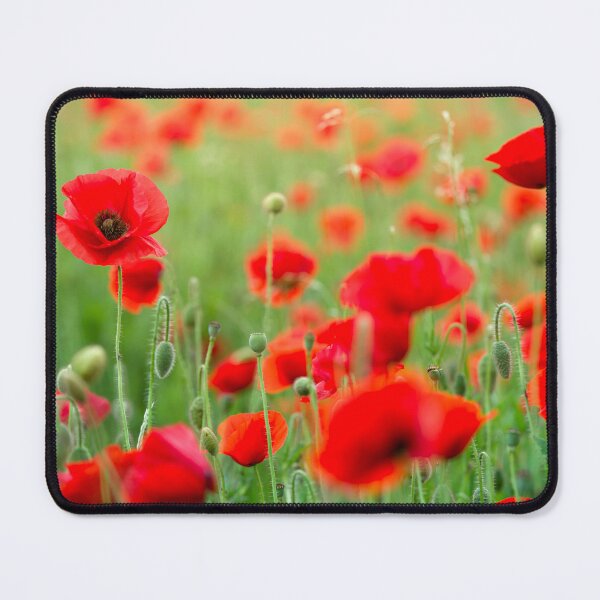 Item preview, Stunning Red Poppy Field in the Evening Sunlight designed and sold by CyaniRose.