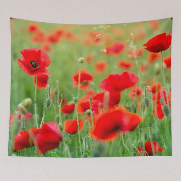 Item preview, Stunning Red Poppy Field in the Evening Sunlight designed and sold by CyaniRose.