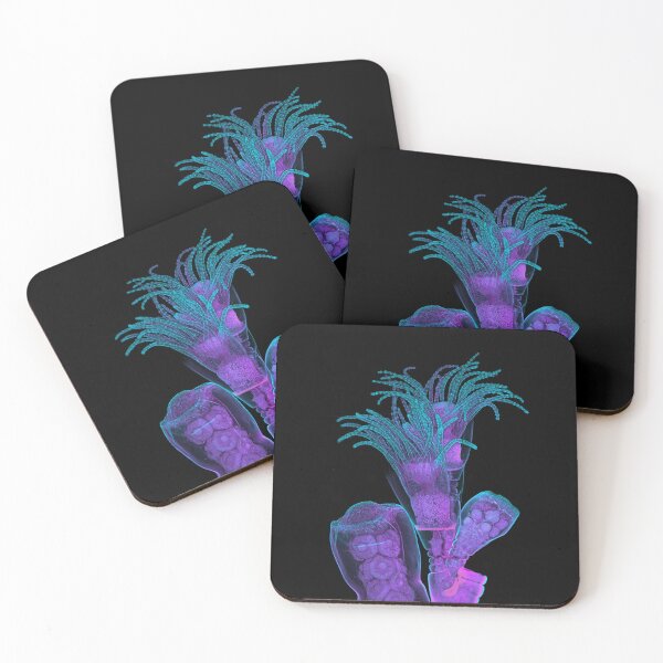 Item preview, Beautiful Obelia Hydroid on a Black Background designed and sold by ScienceSource.