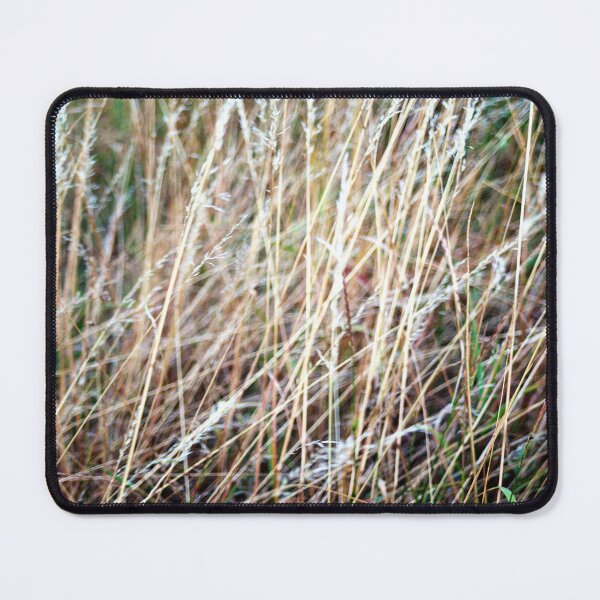 Item preview, Disorganized culms at the edge of the field designed and sold by frankuffmann.