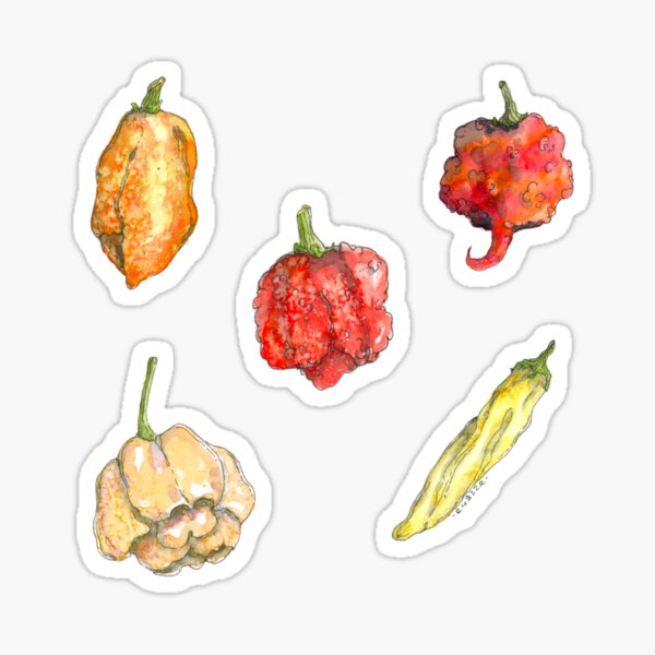 Item preview,  Chillies - Chilli  Peppers - Watercolour  designed and sold by RosalieReeves.