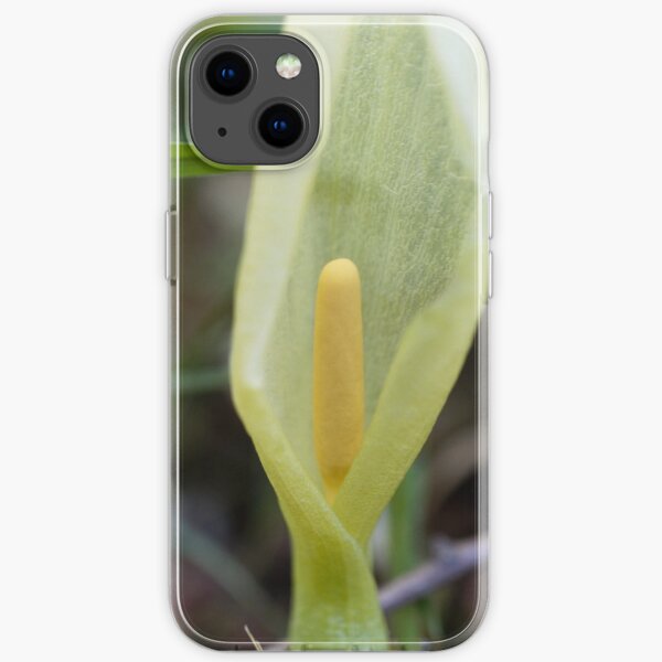 Italian arum (Arum italicum) iPhone Soft Case