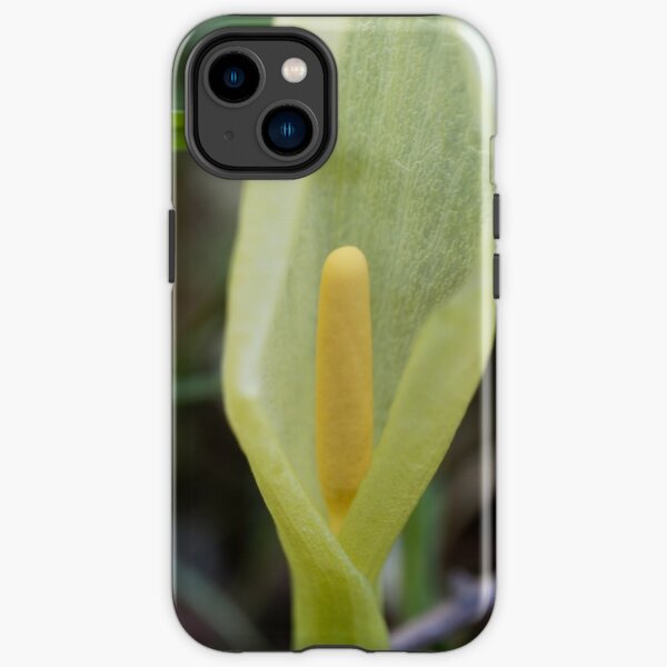 Italian arum (Arum italicum) iPhone Tough Case