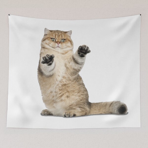 Item preview, Adorable Cat Meme for Cat Lovers designed and sold by trendarmy.