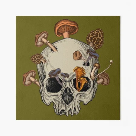 gbrf,8x8,f,540x540-pad,450x450