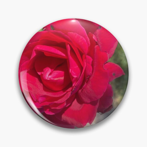 Item preview, A Rose is a Rose  designed and sold by EverythingGwen.