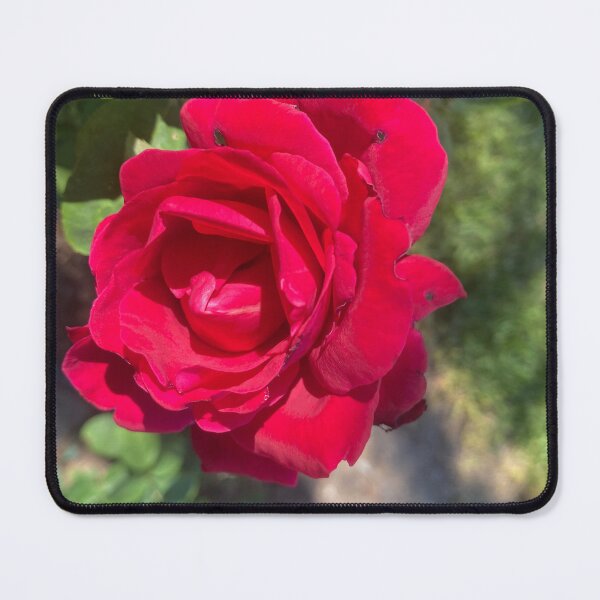 Item preview, A Rose is a Rose designed and sold by EverythingGwen.