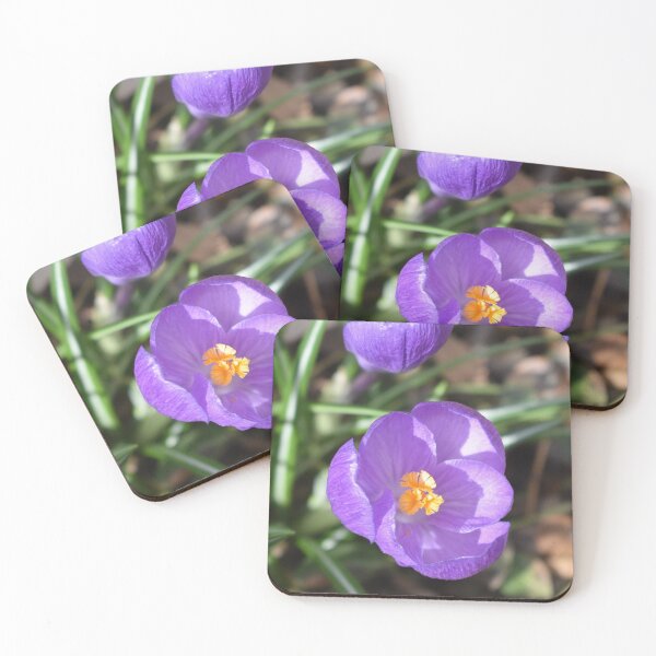 Item preview, Purple Crocus Facing the Camera designed and sold by Kathleen Brant.
