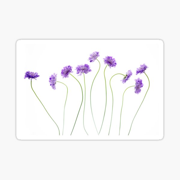 Dancing Sticker