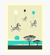 FLOCK VON ZEBRAS Fotodruck