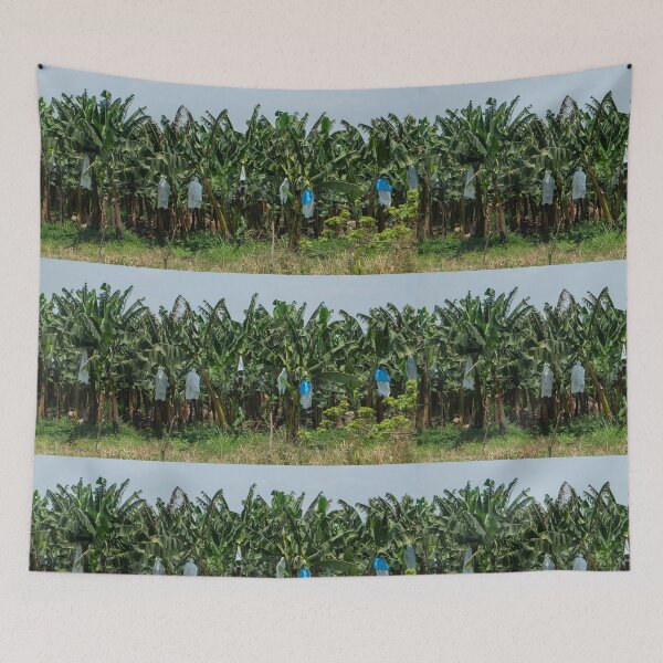 Item preview, B-A-N-A-N-A-S designed and sold by EmmelineKlatt.