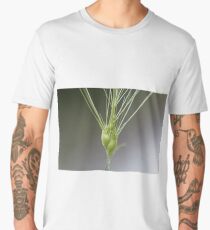 Ovate goatgrass (Aegilops geniculata) Men's Premium T-Shirt